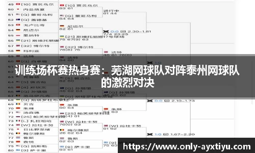 ayx爱游戏官网